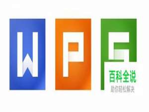 WPS的excel表格中怎么自动求和？