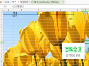 wps表格怎么修改工作表背景图片