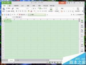 WPS表格中怎么设置网格线颜色?