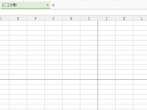 WPS表格怎么去掉自动分页符? WPS自动分页符的隐藏方法