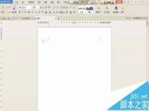 WPS文字怎么分成两栏? WPS文档分栏显示的教程