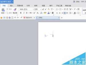 WPS文档怎么加密? WPS加密文件的详细教程