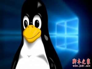 微软正在成为Linux基金会白金会员