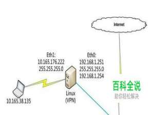 为什么有的公司服务器租用特别便宜？