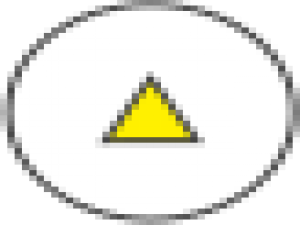 网上怎么登报挂失证件（登报挂失需要什么资料）