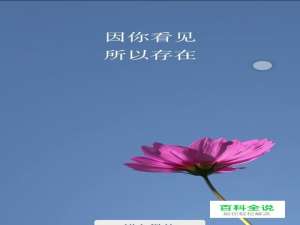 微信如何拍即刻视频