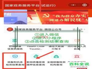 微信、支付宝如何查询他人核酸报告