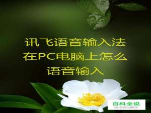 讯飞语音输入法在PC电脑上怎么语音输入