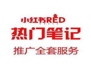 小红书kol是什么意思（怎么成为小红书kol）