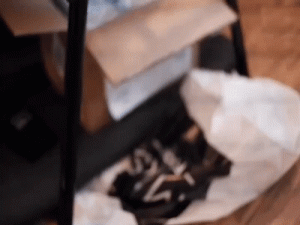 新加坡怎么坐公交车（新加坡地铁可以用手机支付吗）