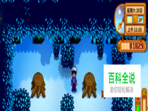 星露谷物语神秘森林暗道怎么走 隐藏的树桩在哪