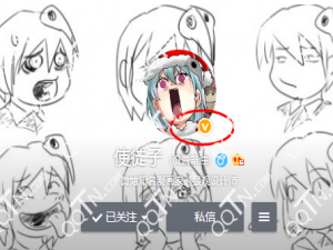 新浪微博达人和微女郎哪个好?