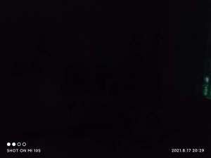 迅雷下载到99.9就不动了怎么办（迅雷下载卡到99.99怎么办）