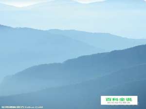 小品摄影善用大光圈镜头营造氛围