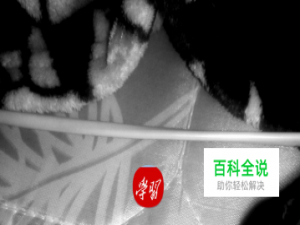 学习强国app如何下载安装注册