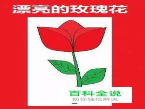 用电脑画图软件画玫瑰花