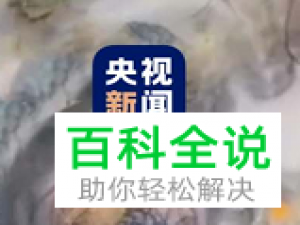 央视新闻APP中的离线设置在哪里