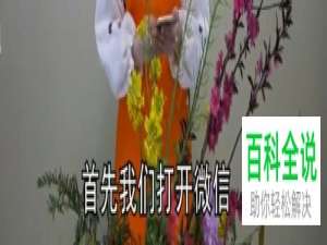 一招教你通过微信识别花草