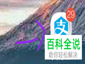 一招教你在支付宝中申请余额收支明细