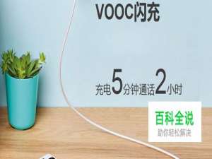 支持快速充电的手机有哪些？