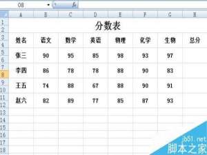 在Excel表格中如何进行求和?