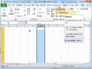 在excel表格里如何制作一个可选择内容的表格?