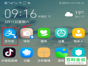 支付宝App中如何设置蚂蚁森林首页显示小鹿