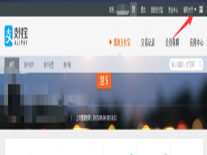 支付宝身份证被占用怎么办