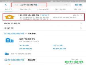 支付宝中公积金的缴存明细怎么查询