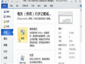 怎么把2003word转成2010的?