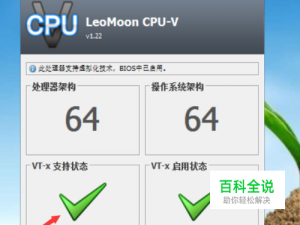 怎么查看电脑是否支持VT