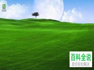 怎么对Excel表格中的数据进行筛选排序