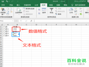 怎么将Excel表格中的文本格式转化为数值格式