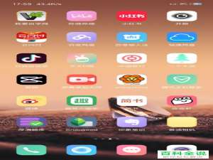 怎么集齐2020抖音中的发财中国年