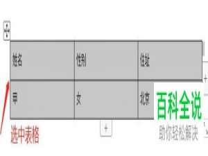 怎么将Word表格中的文字设为适应单元格大小