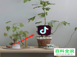 怎么看抖音中的央视新闻