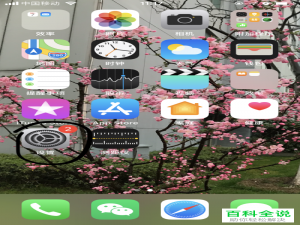 怎么开启iPhone苹果手机中的全天日程提醒功能