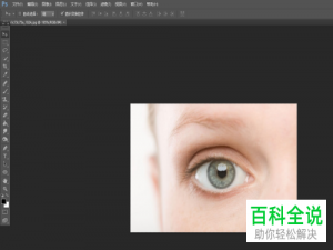 怎么利用PS Photoshop软件给图片中的人物画眉毛