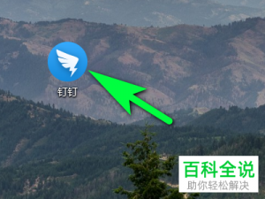 怎么启用电脑版钉钉中的无障碍功能