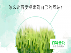 怎么让百度搜索到自已的网站？
