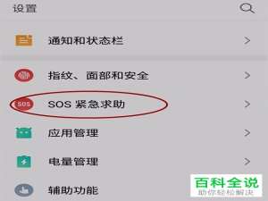 怎么启用与唤起手机SOS紧急求助功能