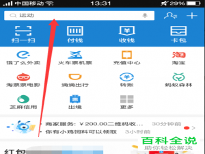 怎么使用手机支付宝来查看护照的有效期