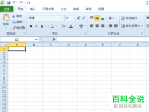 怎么使用excel2010给家庭制作月度预算表？