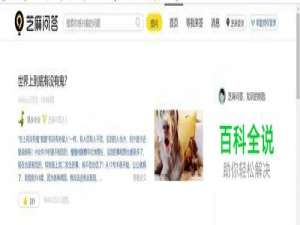 芝麻问答怎么挣钱？