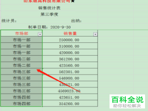 怎么在WPS表格中批量合并同类项