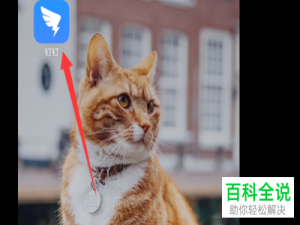 怎么在钉钉APP中给好友设置添加特别关注