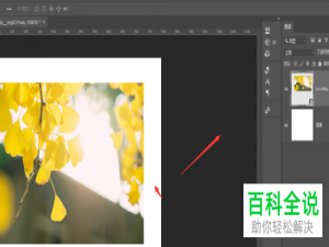 怎么在Photoshop软件中制作分割图片效果？