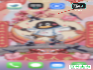 怎么在Soul中设置进行语音匹配聊天时将浮窗开启