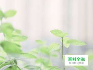 怎么在淘宝上加好友？