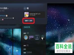 怎么在电脑steam个人资料页面内完成斜体文本的添加